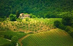 Landhäuser der Toskana - umringt von Weinreben