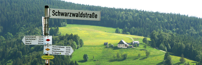 schwazwald.jpg