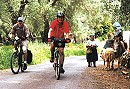 Aktivurlaub-Landsport: biken, wandern, Tennis